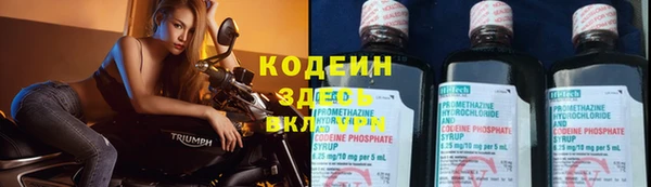 гашик Белокуриха