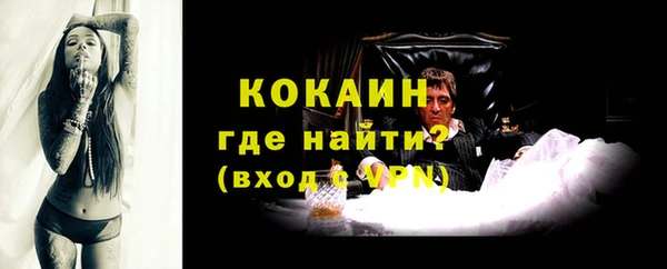 гашик Белокуриха
