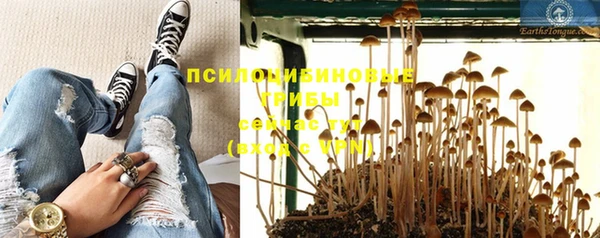 твердый Белоозёрский