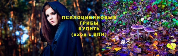 гашик Белокуриха