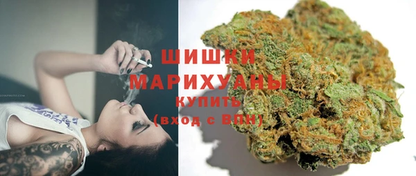 гашик Белокуриха