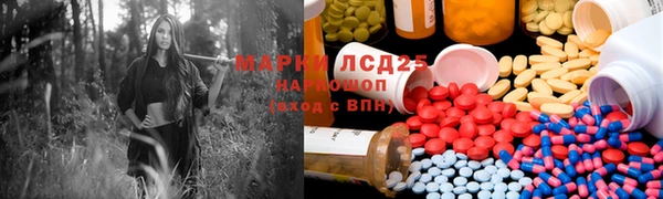 гашик Белокуриха