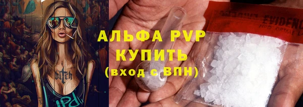 гашик Белокуриха